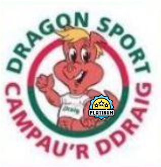 Dragon Sport Platinum Award